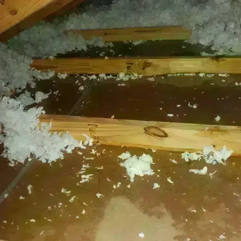 Attic Water Damage in Harrisonville, MO